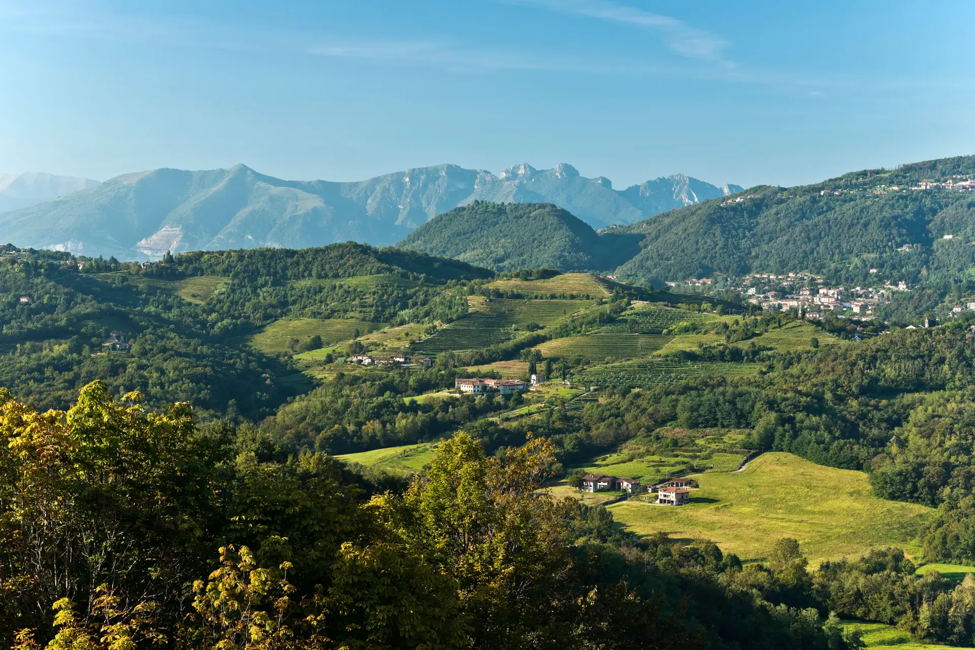 Sagre ed Eventi di Giugno 2026 vicino Colle Brianza: la Guida per le Famiglie